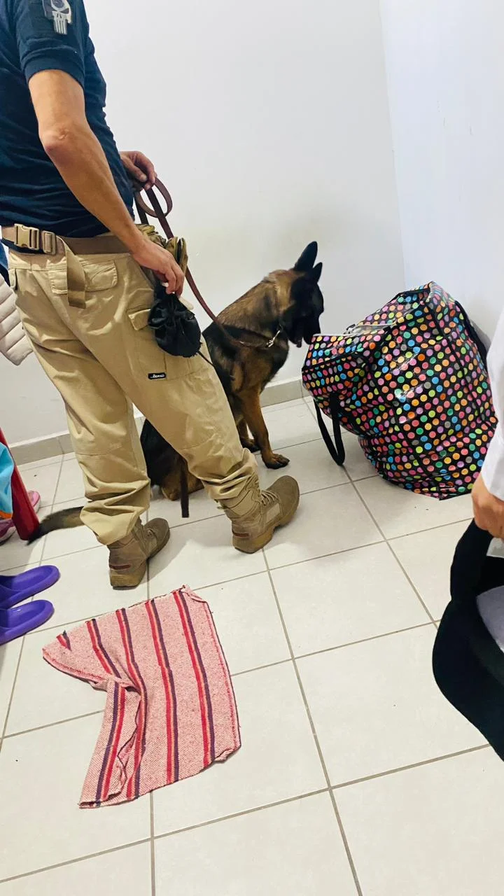 Equipo de patrullaje e inspección perimetral